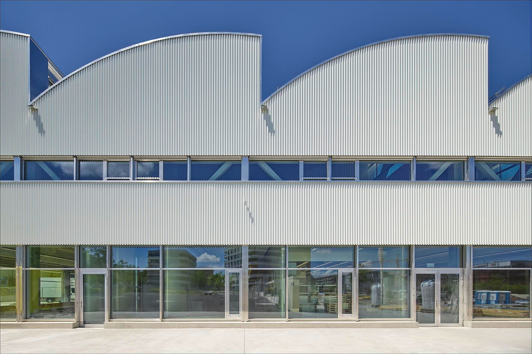 Schule Freilager, Zürich – die Sheddächer sorgen für viel Tageslicht | Foto: Luca Zanier