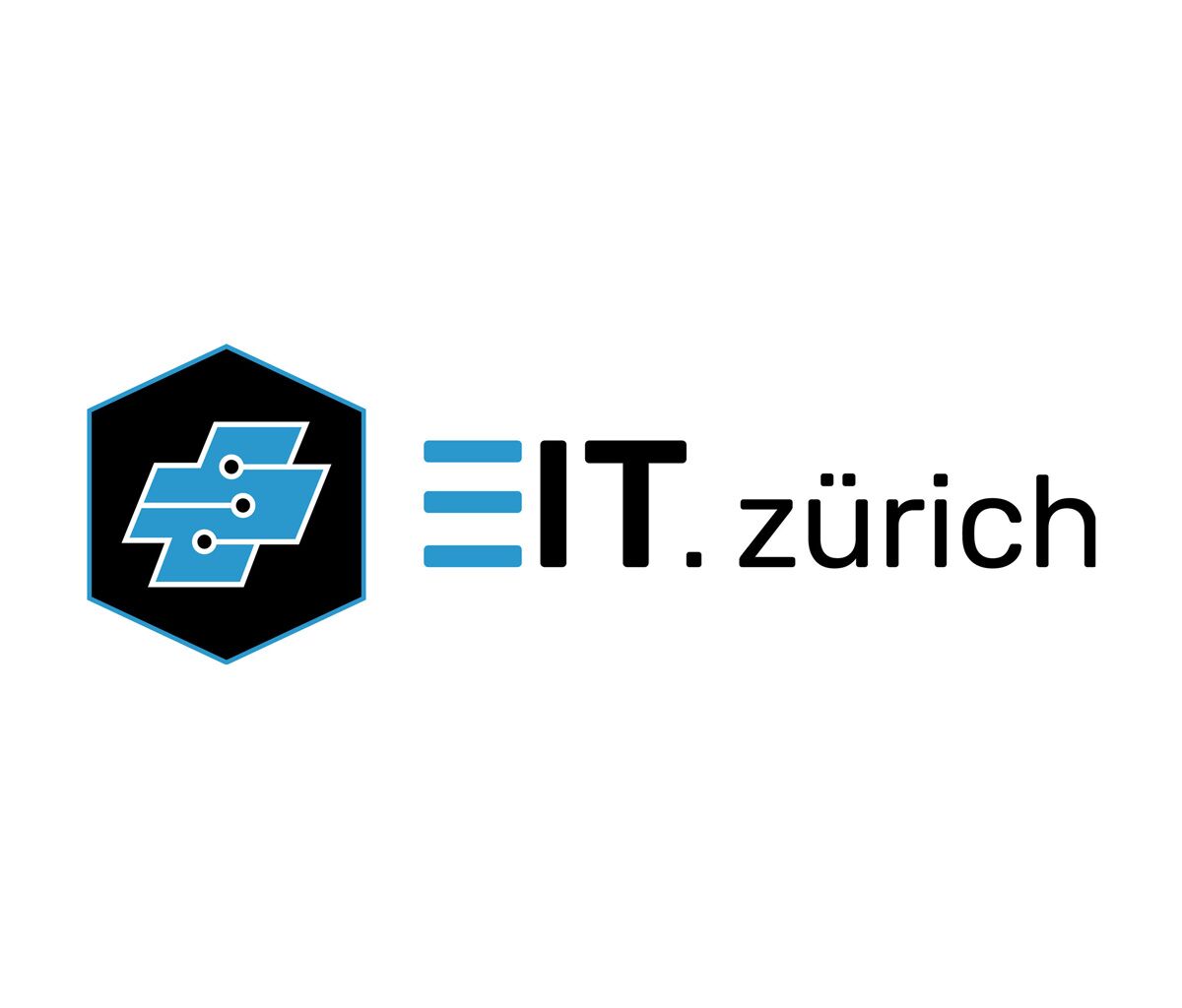 Logo EIT Zürich
