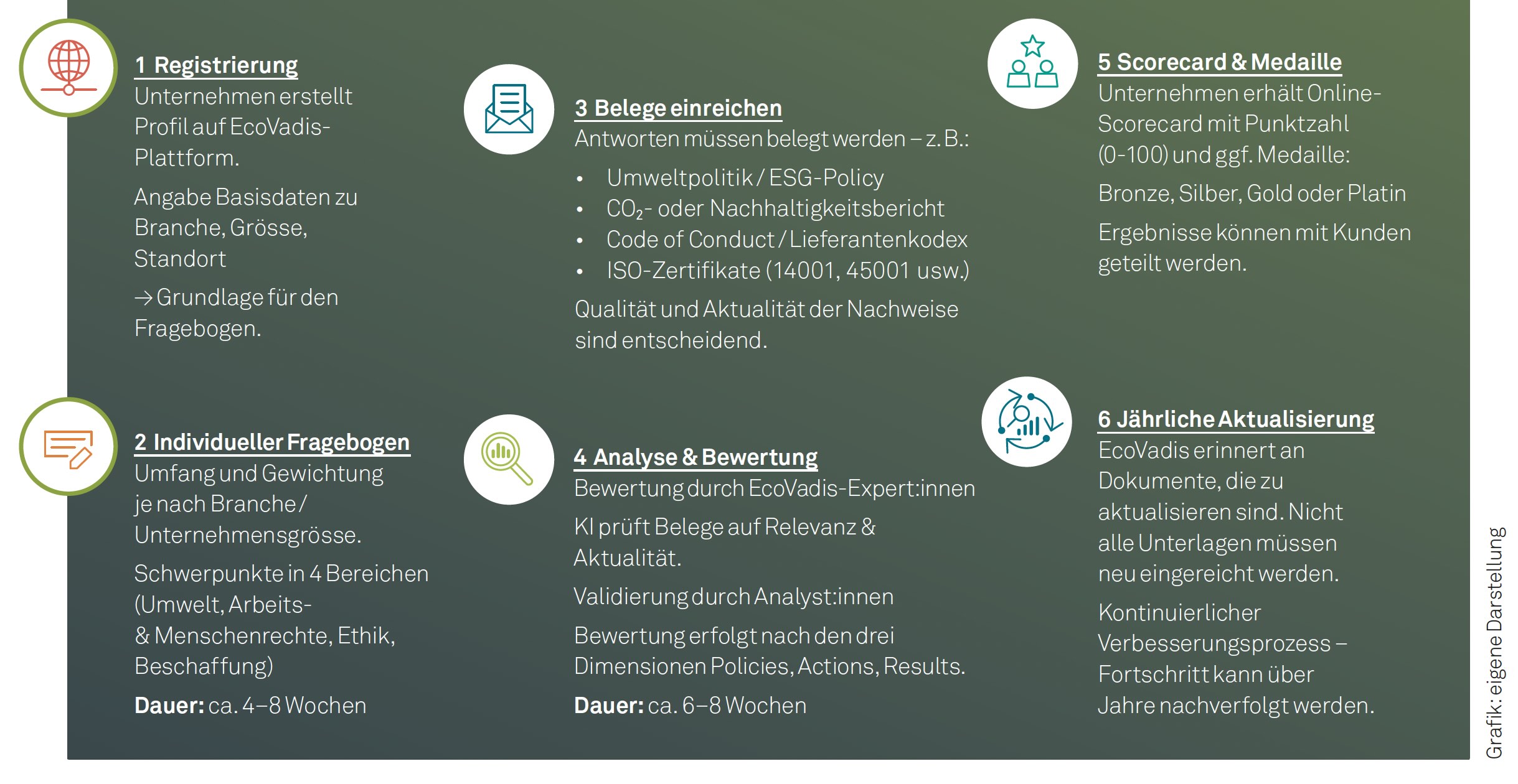 Der EcoVadis Prozess in sechs Schritten zusammengefasst